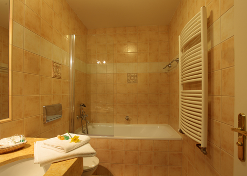 Main elysee classic room bathroom